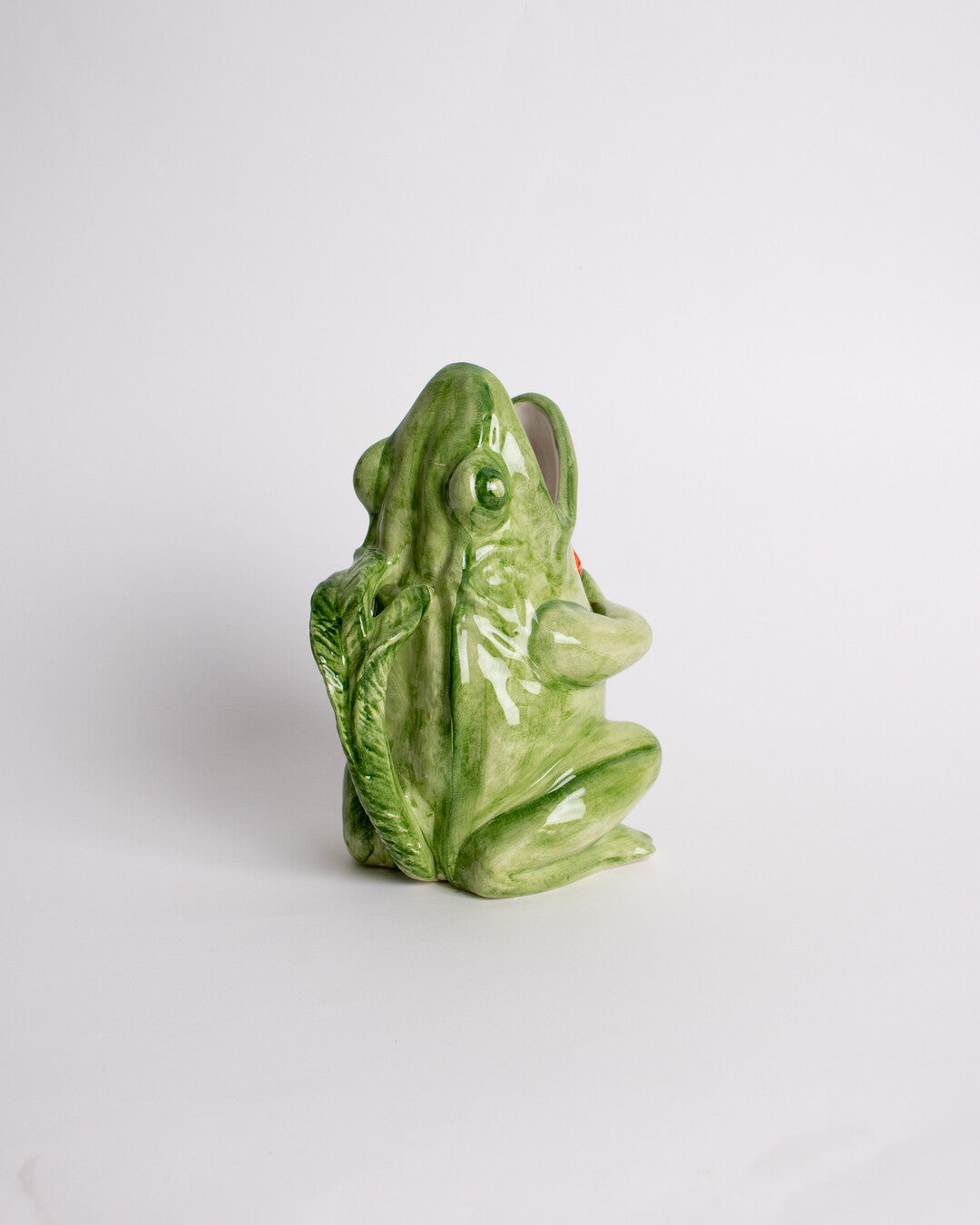 Frog water jug