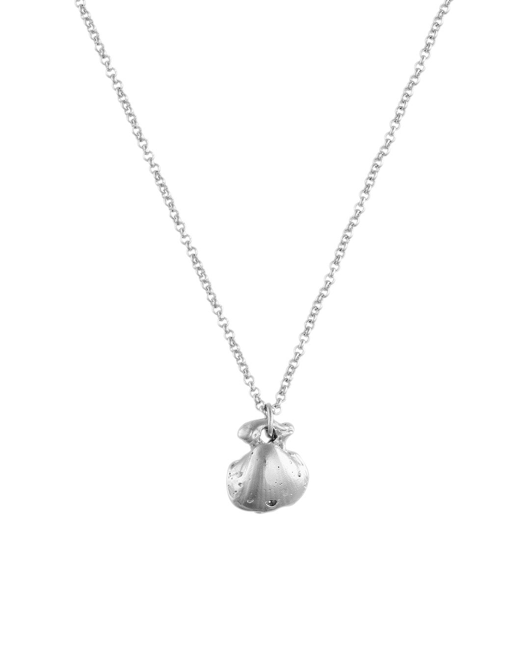 Coquille Necklace