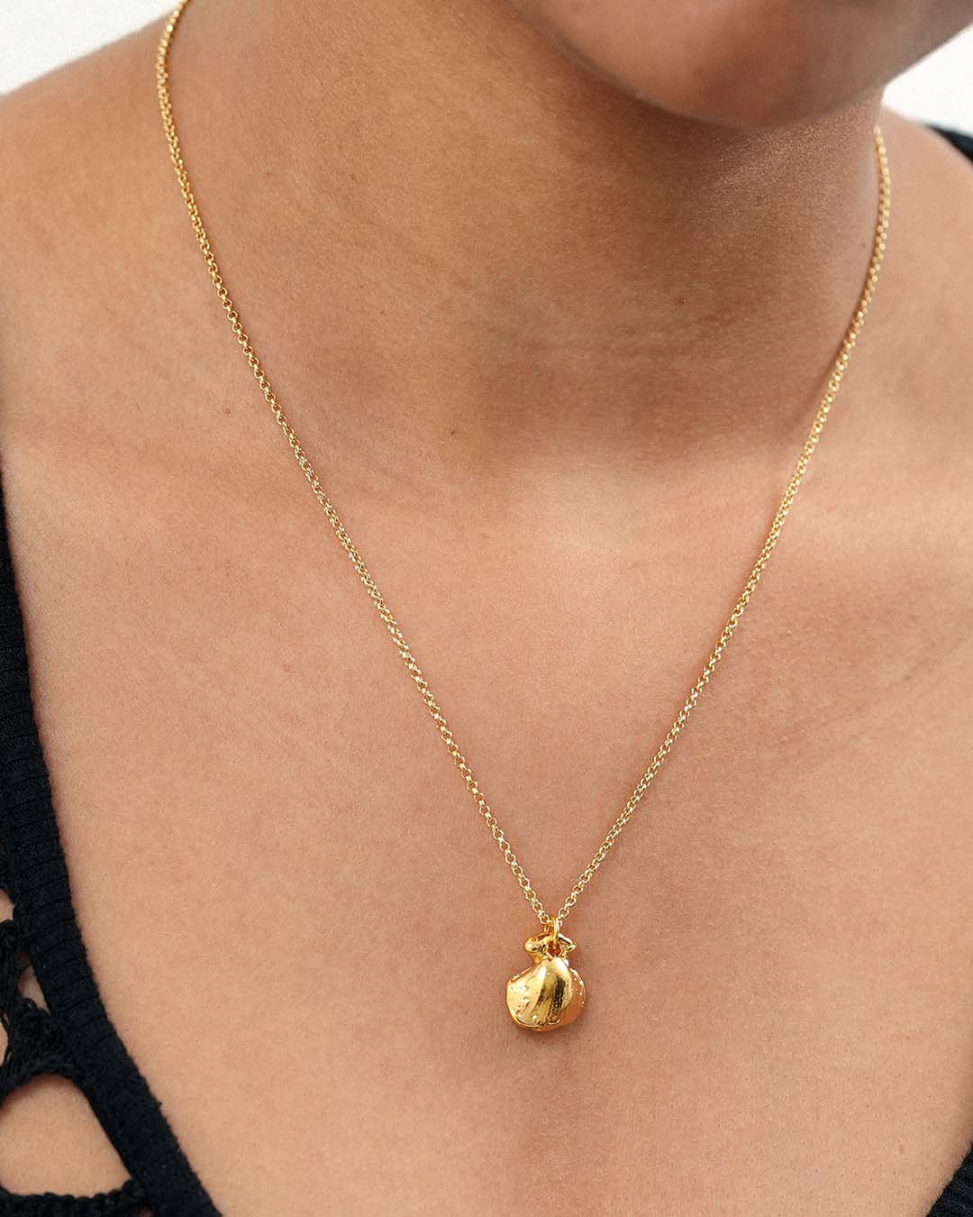 Coquille Necklace