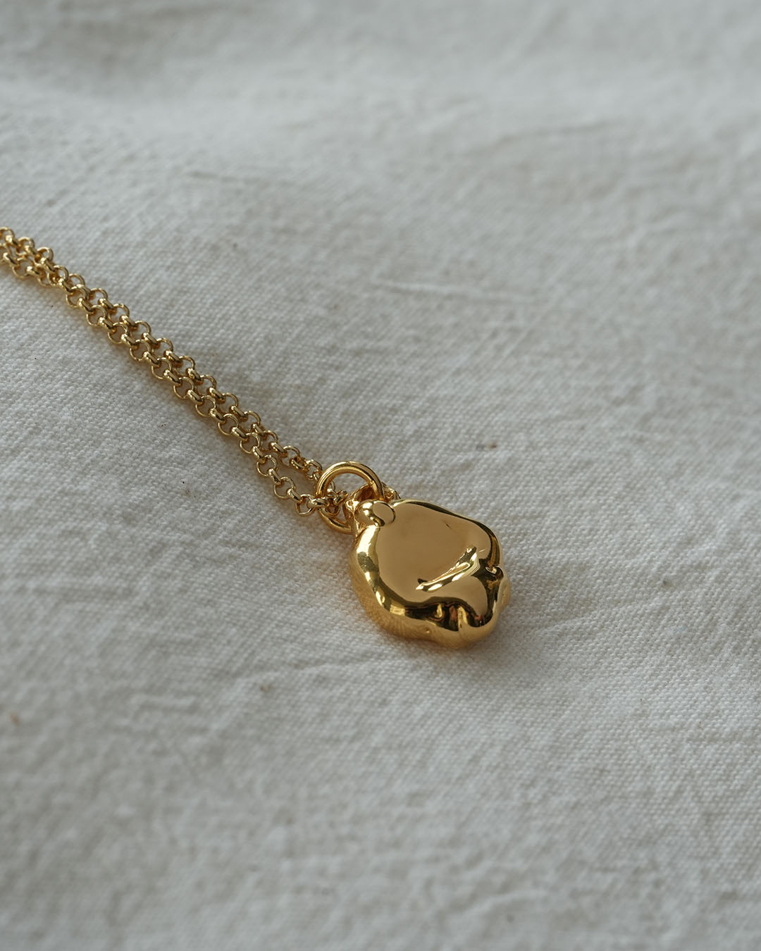 Lost Medallion Necklace