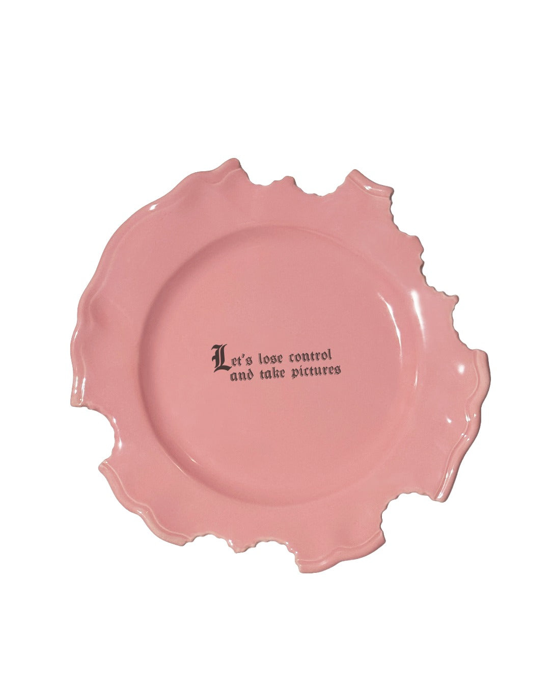 Wrong Dinner Plate - "Let's lose control and take pictures"