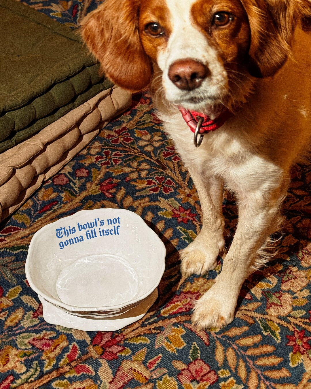 Issues Pets Bowl - "This bowl's not gonna fill itself"