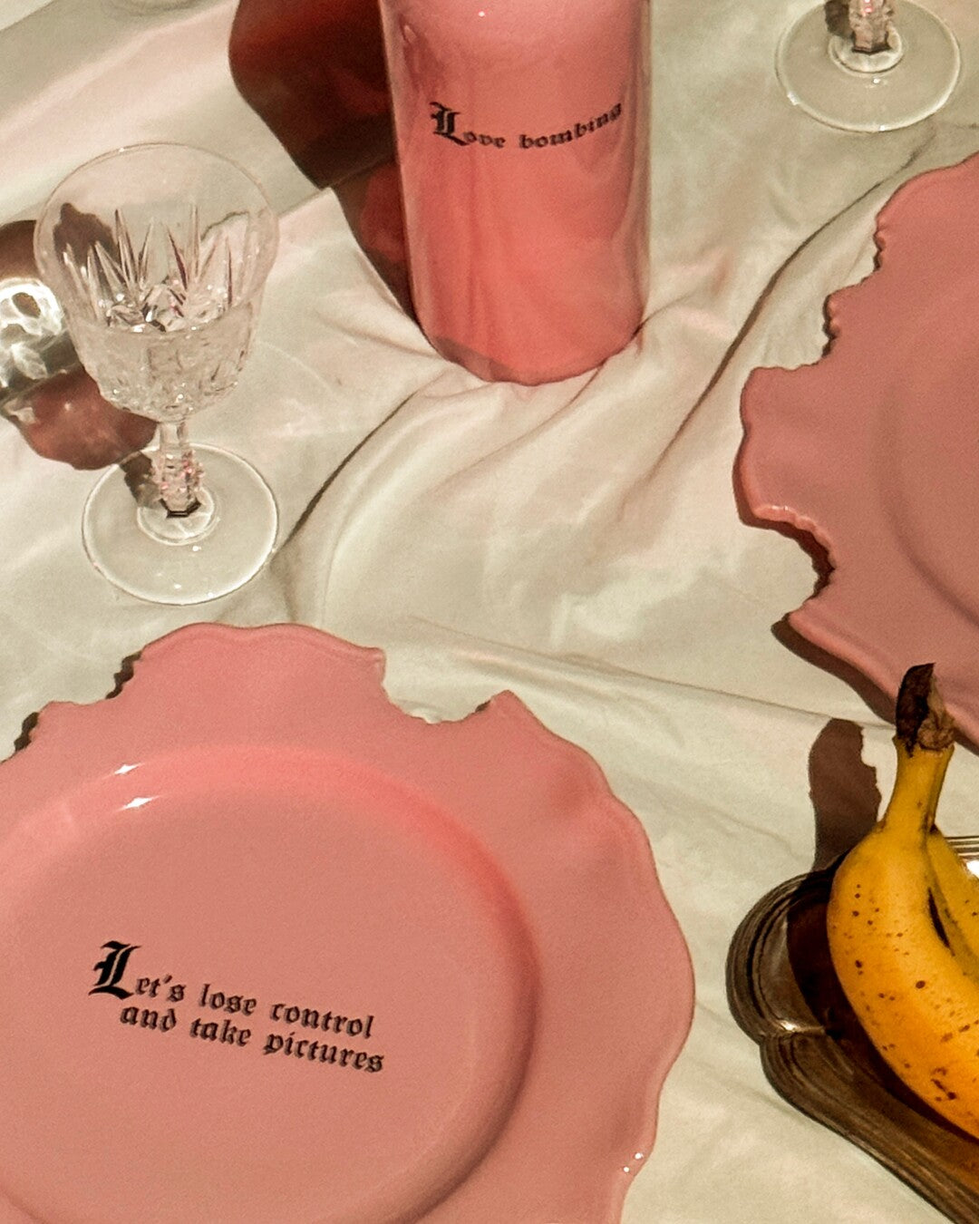 Wrong Dinner Plate - "Let's lose control and take pictures"