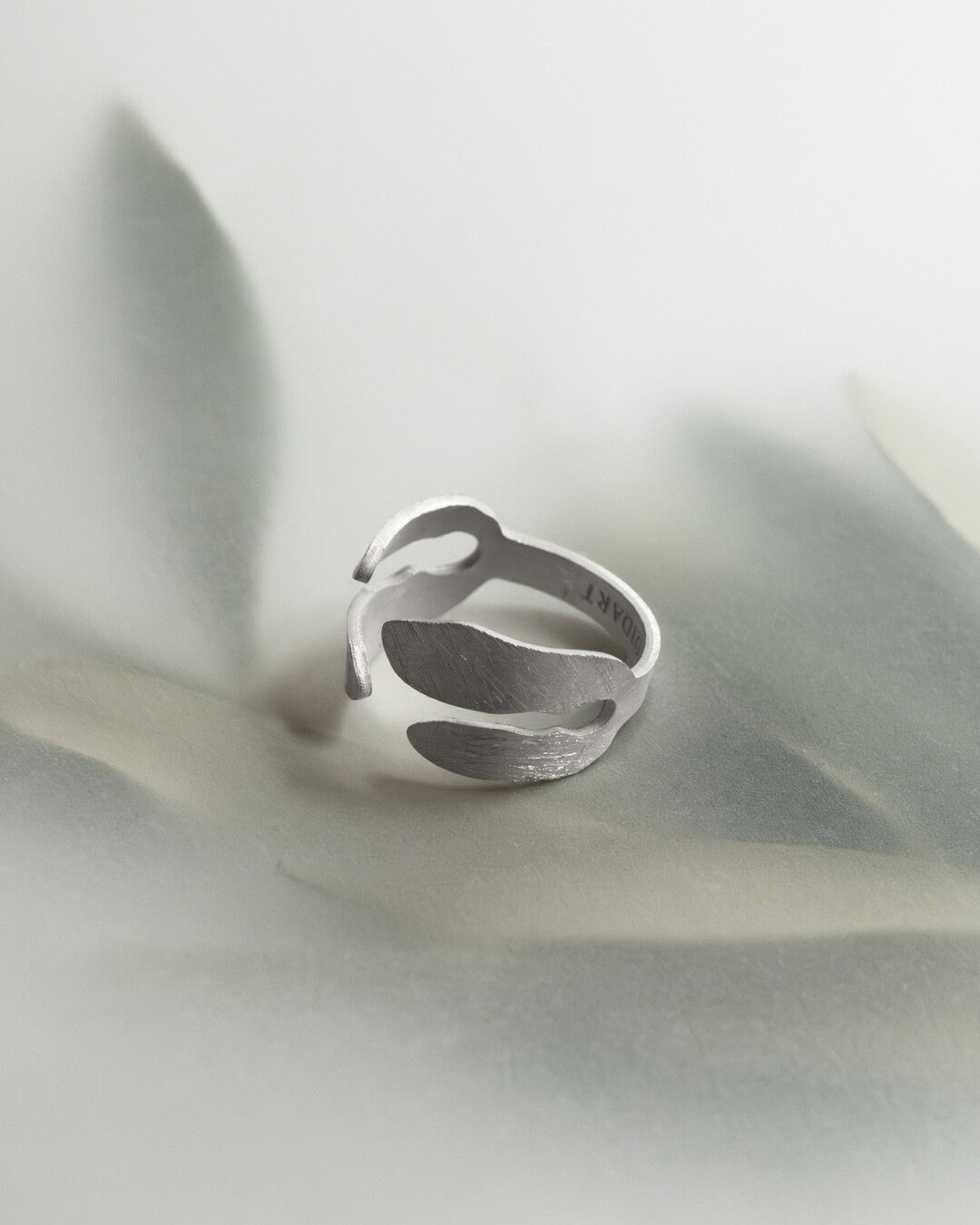 Ring Silvela