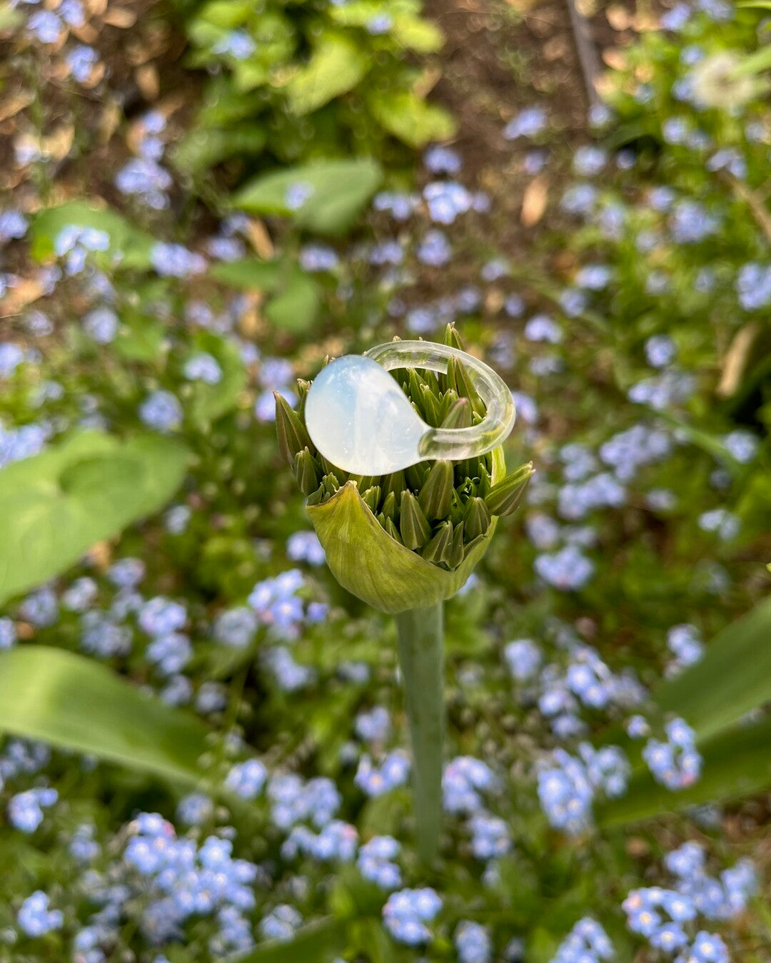 Cosmic Collection - Nebulosa ring