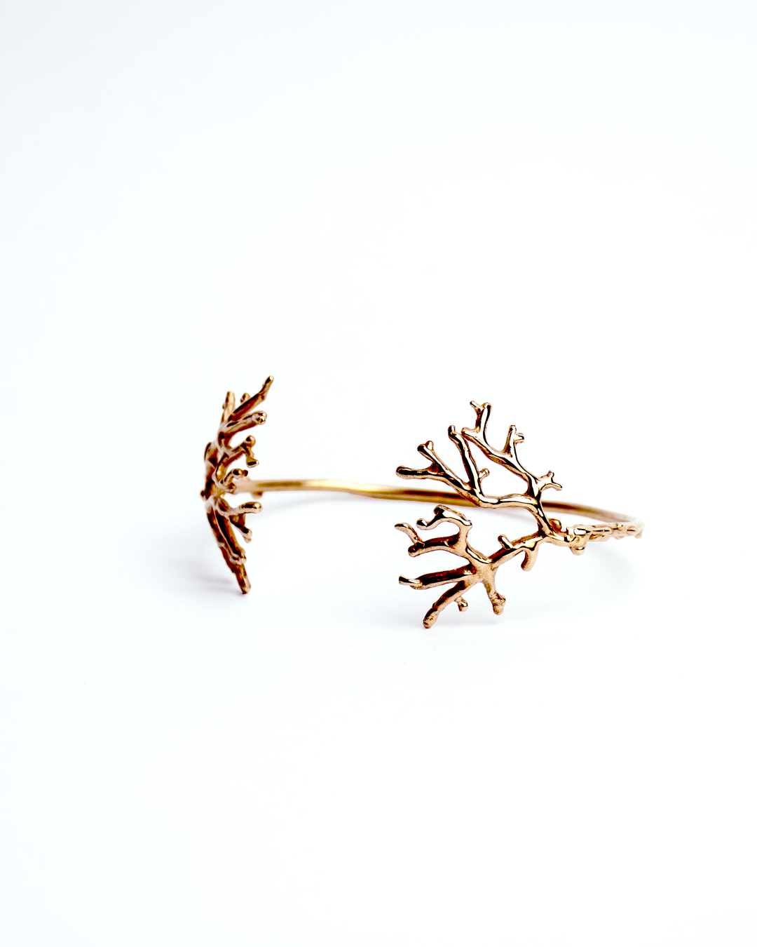 Coral Bangle II