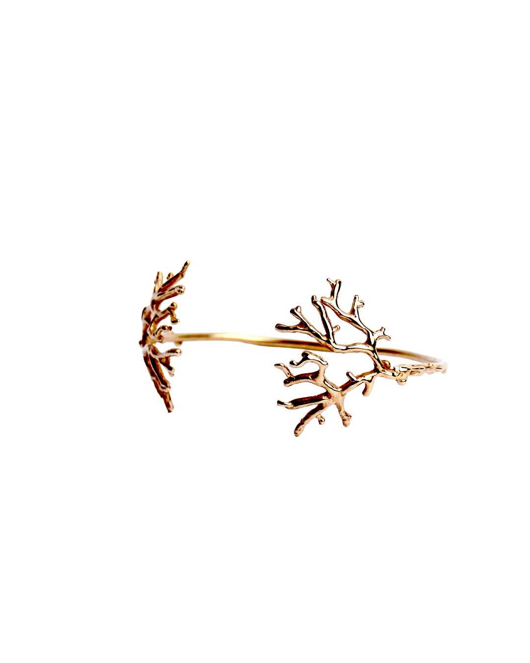 Coral Bangle II