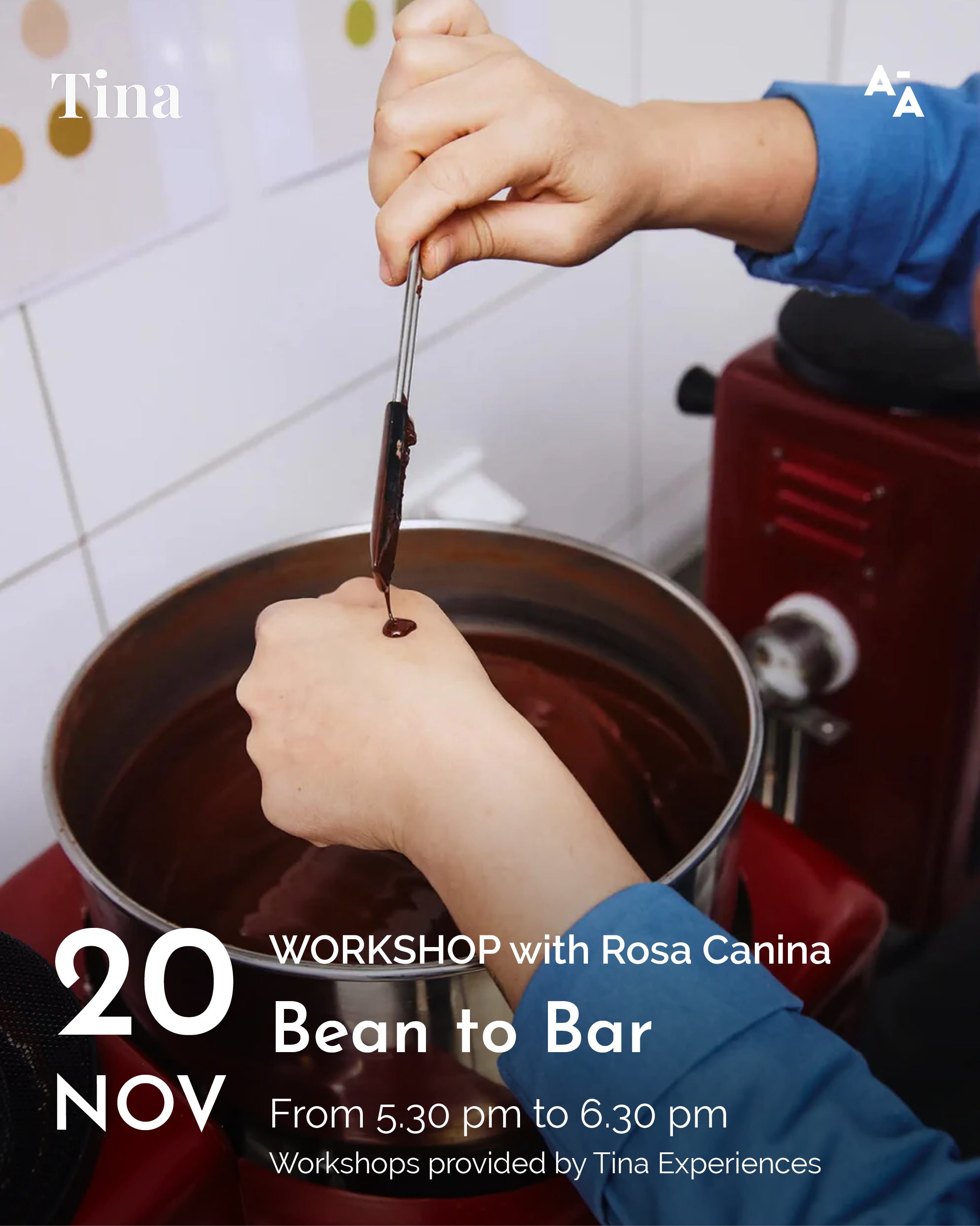 Bean to Bar - chocolate workshop with Rosa Canina