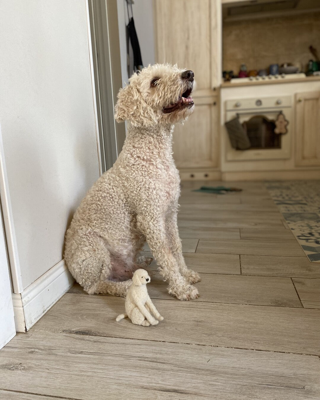 Custom "Pet portrait" soft toy