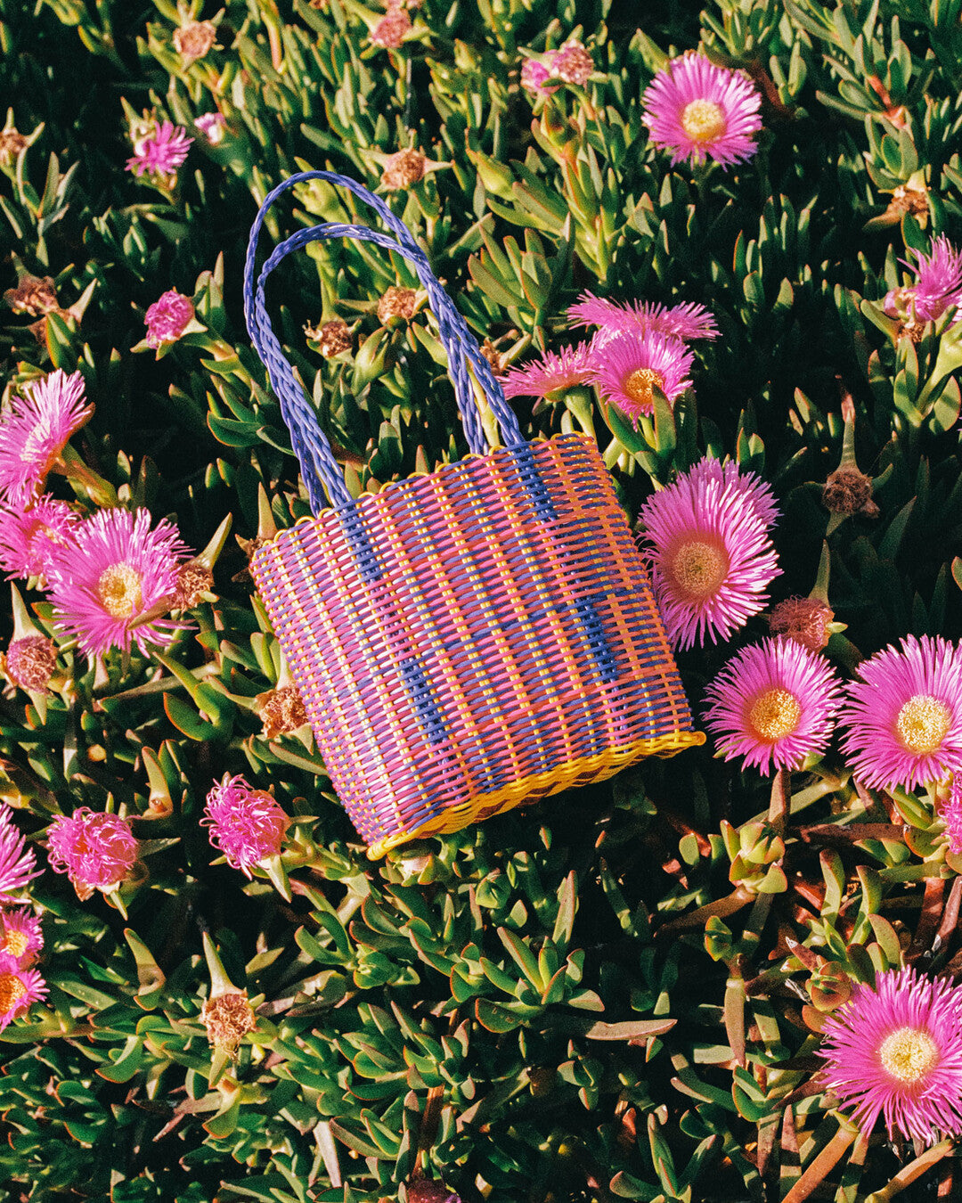 Small Handwoven Basket Bag - Rayas Collective