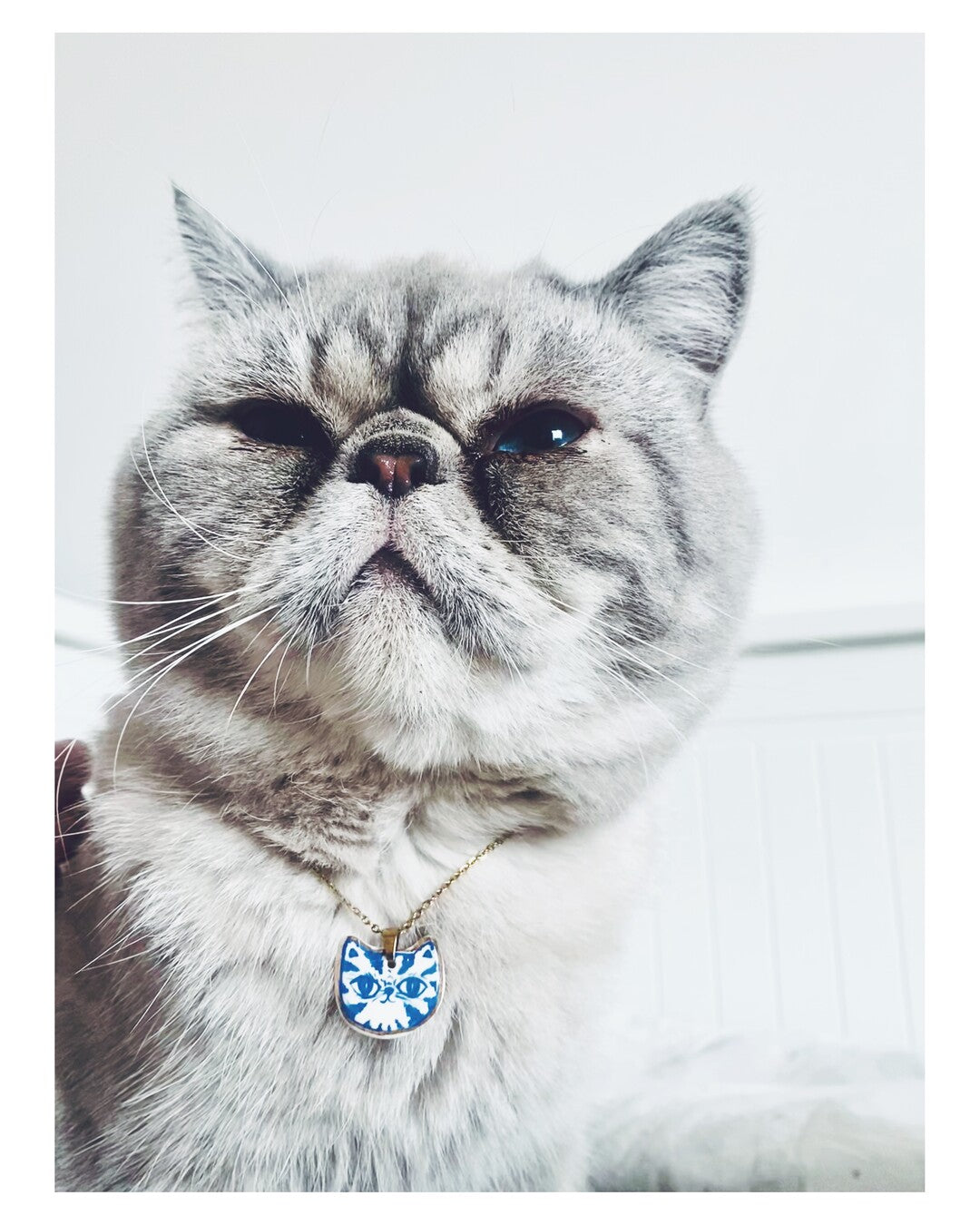 Tigro Cat pendant and venetian box chain necklace