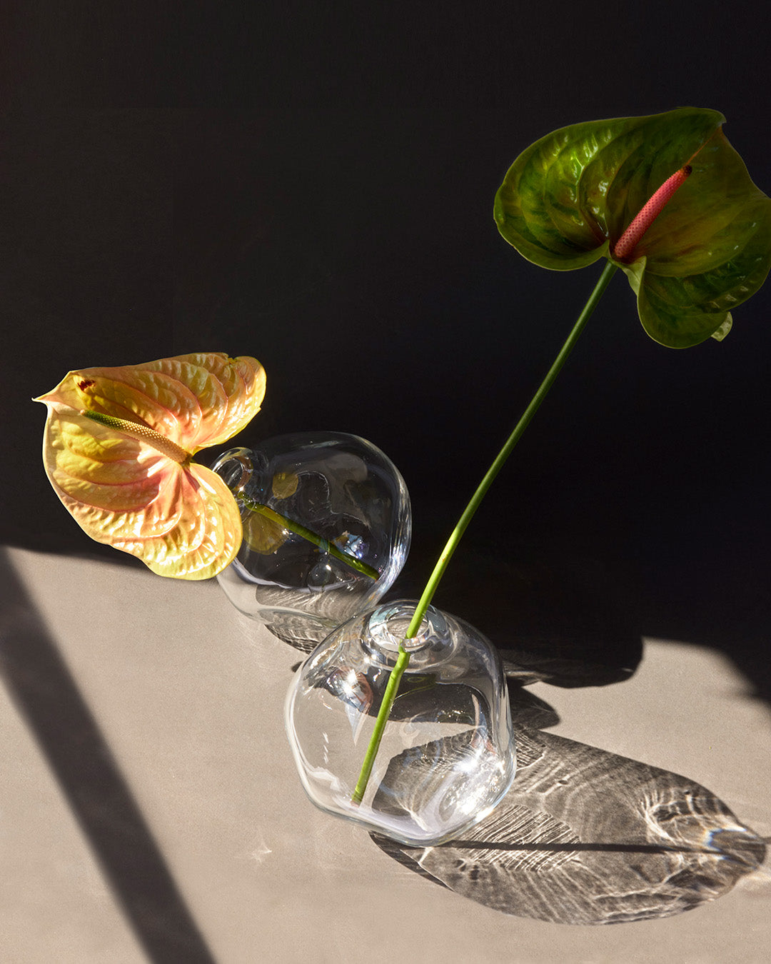 Vase en verre cristal clair NUVOLA