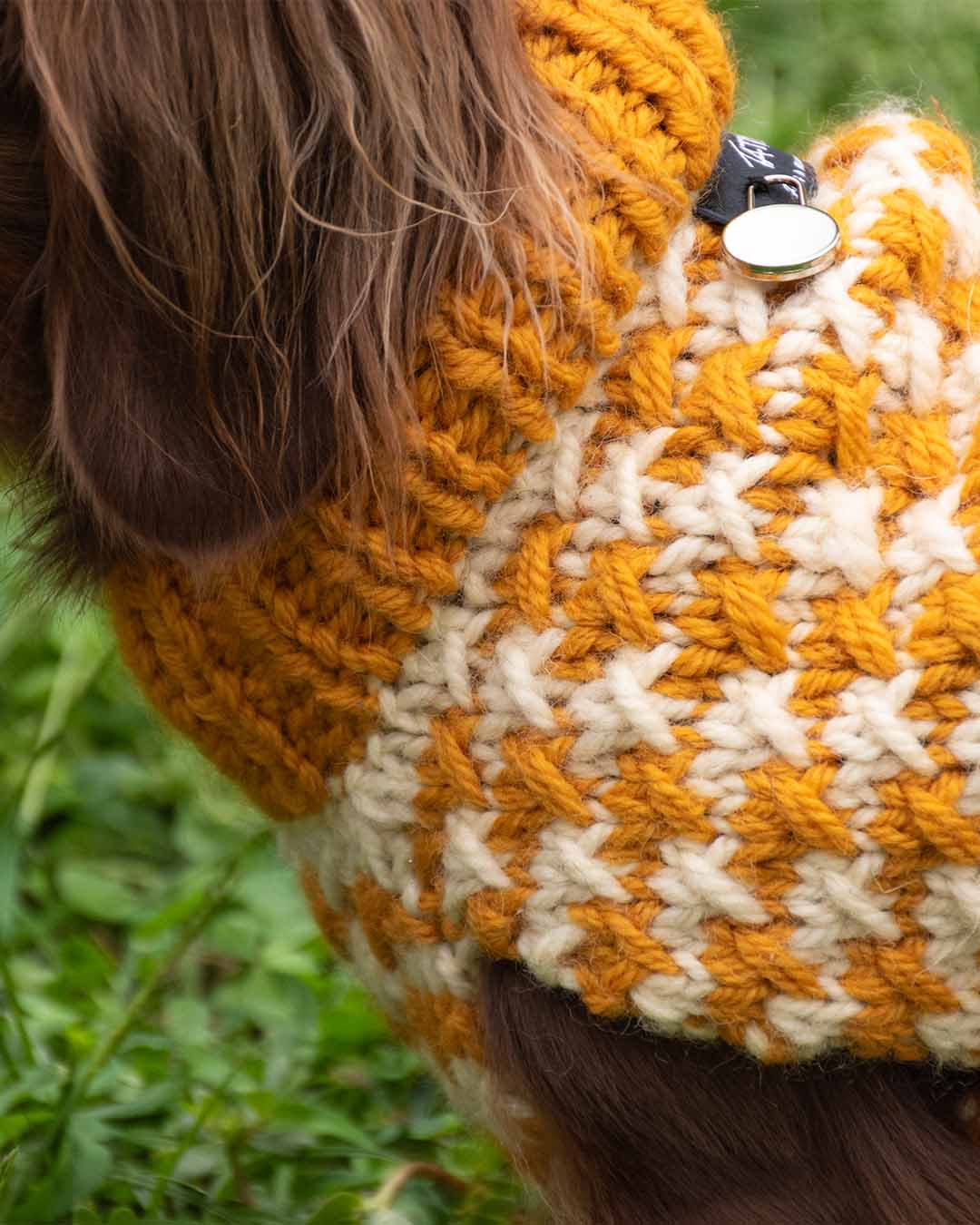 COCO - pied de poule dog sweater