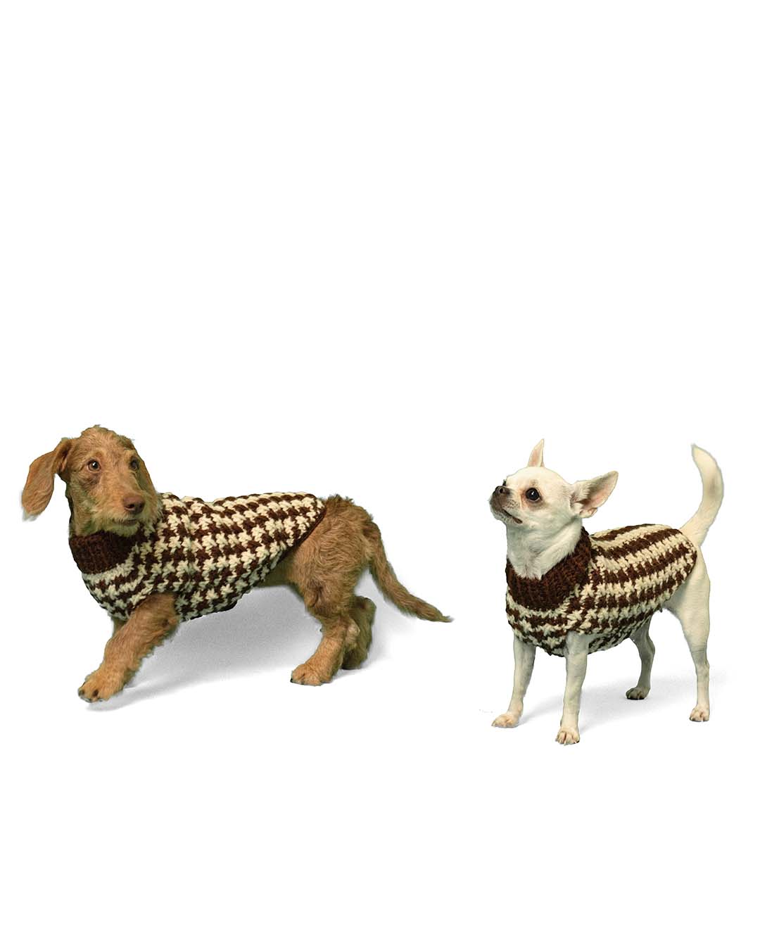 COCO - pied de poule dog sweater