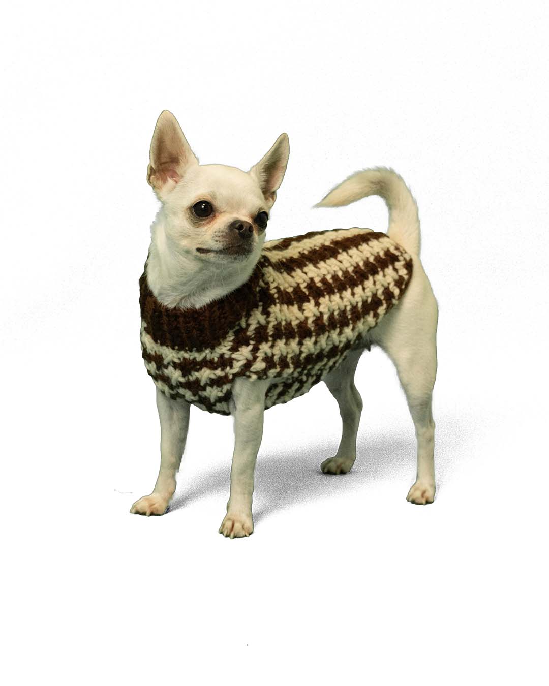 COCO - pied de poule dog sweater