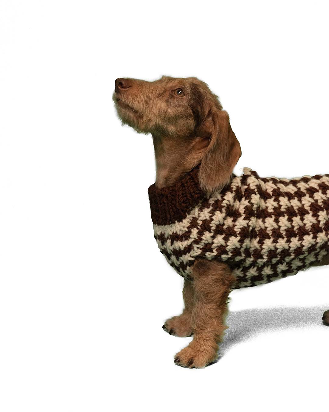 COCO - pied de poule dog sweater