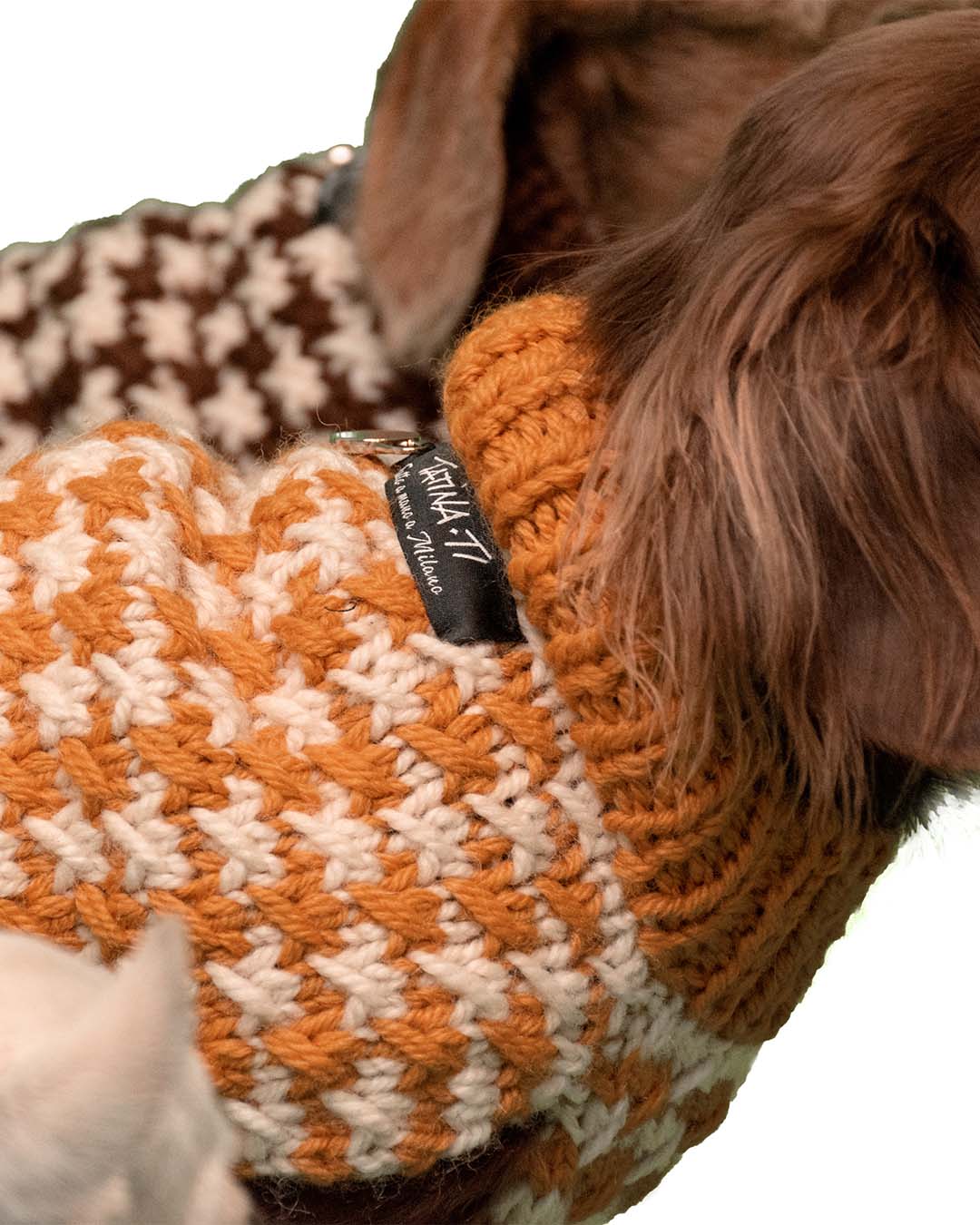 COCO - pied de poule dog sweater
