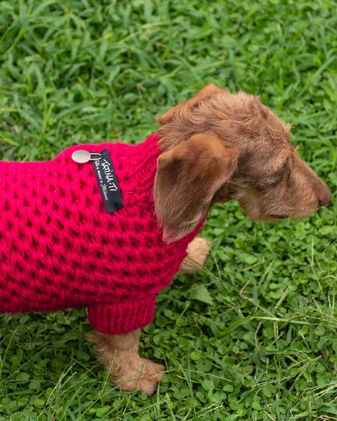 FREYA - Aran semi water-repellent  dog sweater