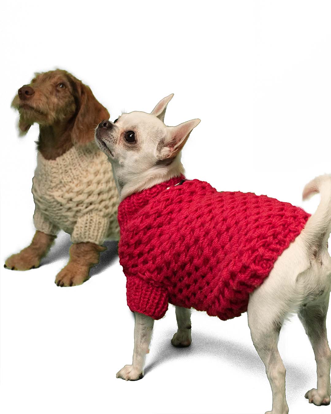 FREYA - Aran semi water-repellent  dog sweater