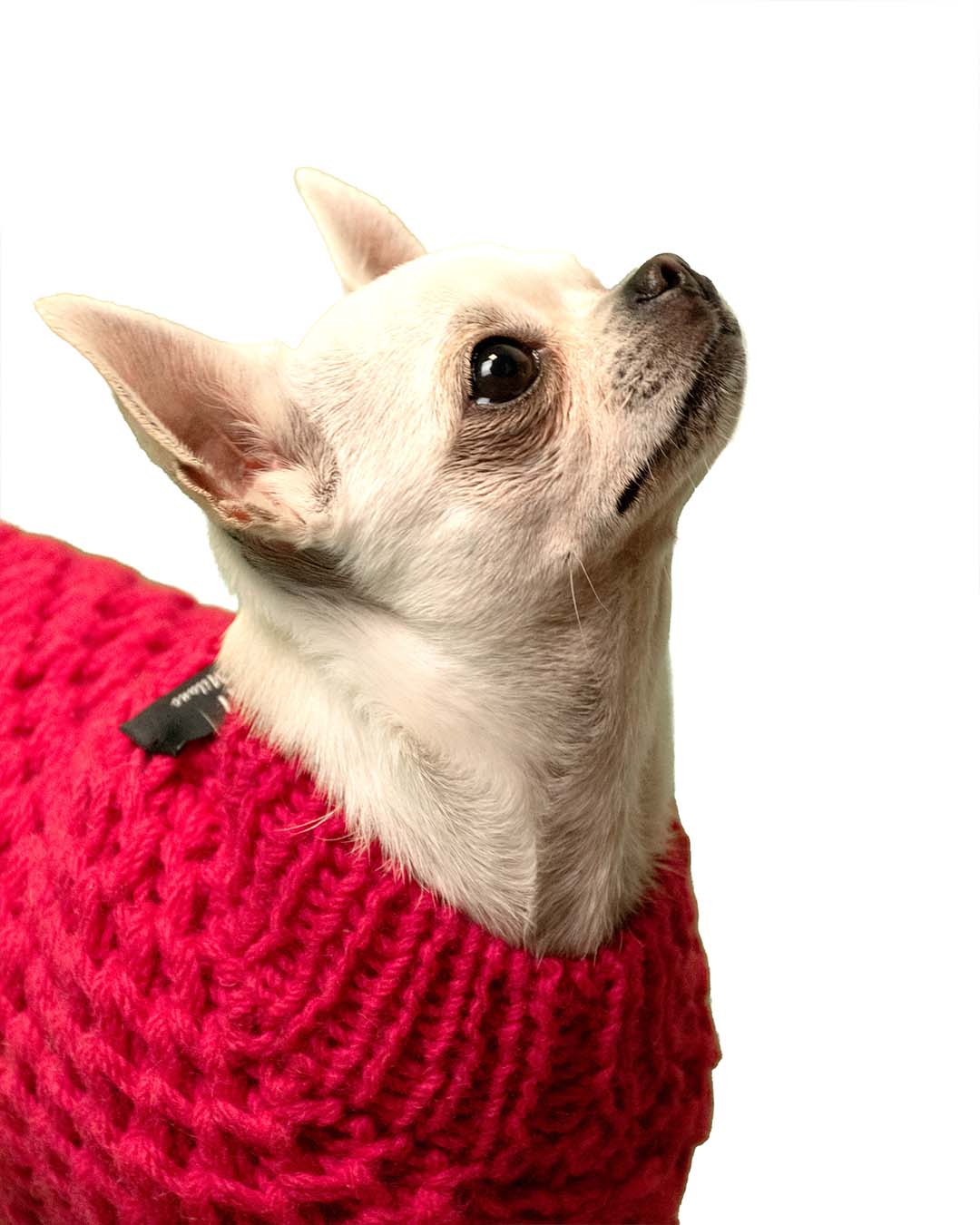 FREYA - Aran semi water-repellent  dog sweater
