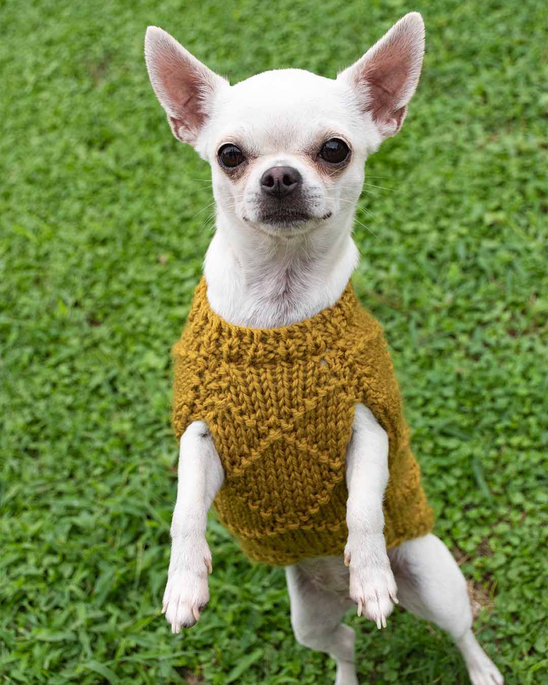 ZIPPY - geometric dog cardigan