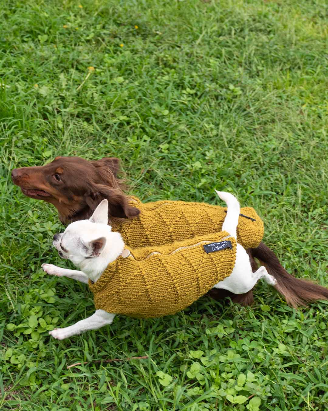 ZIPPY - geometric dog cardigan