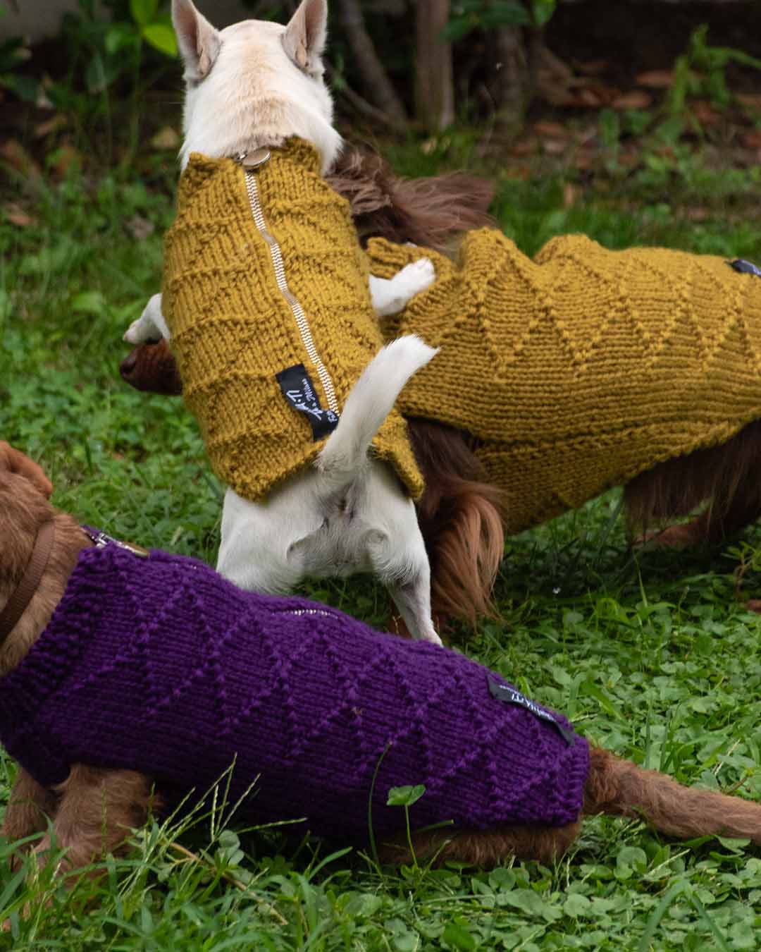 ZIPPY - geometric dog cardigan