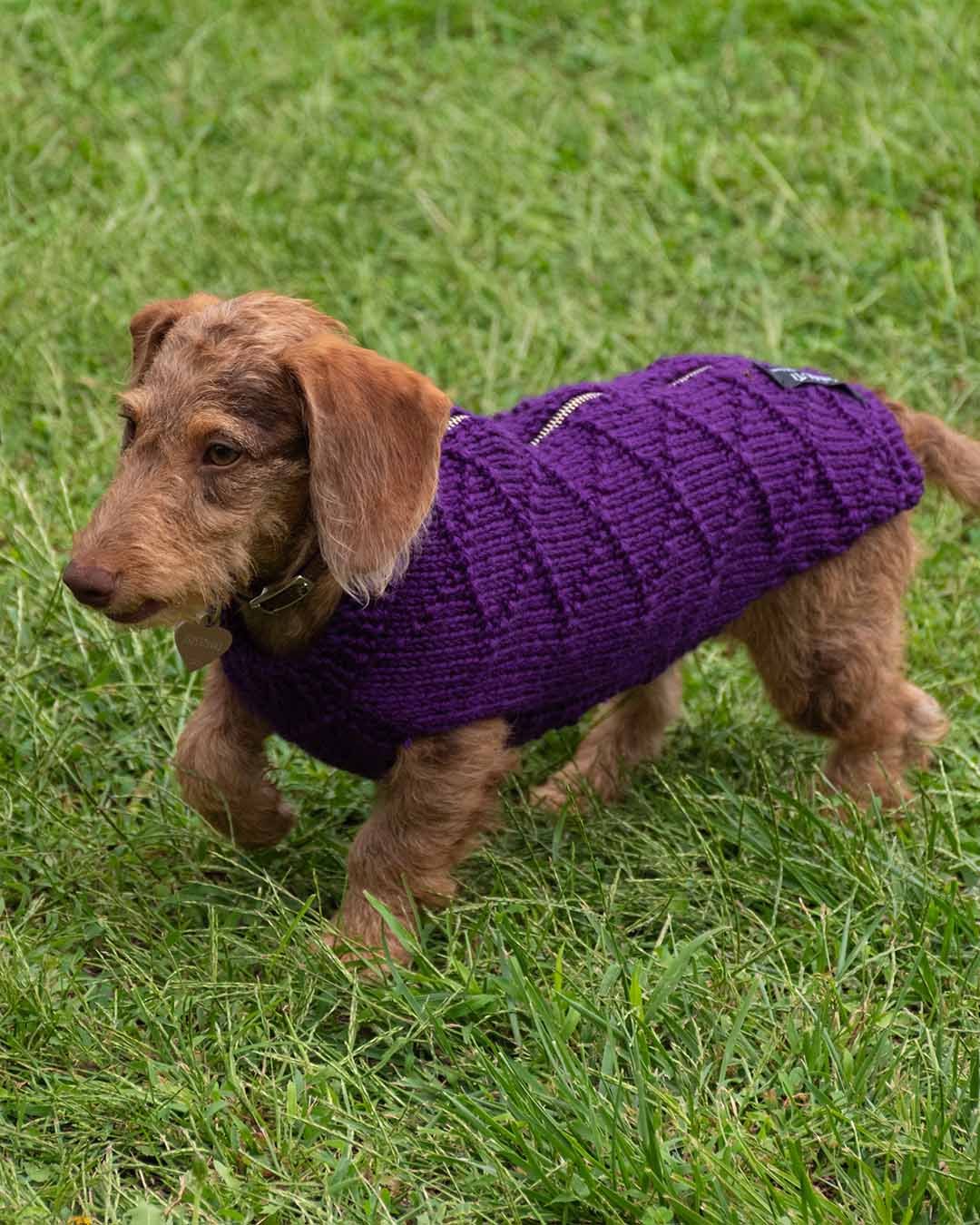 ZIPPY - geometric dog cardigan