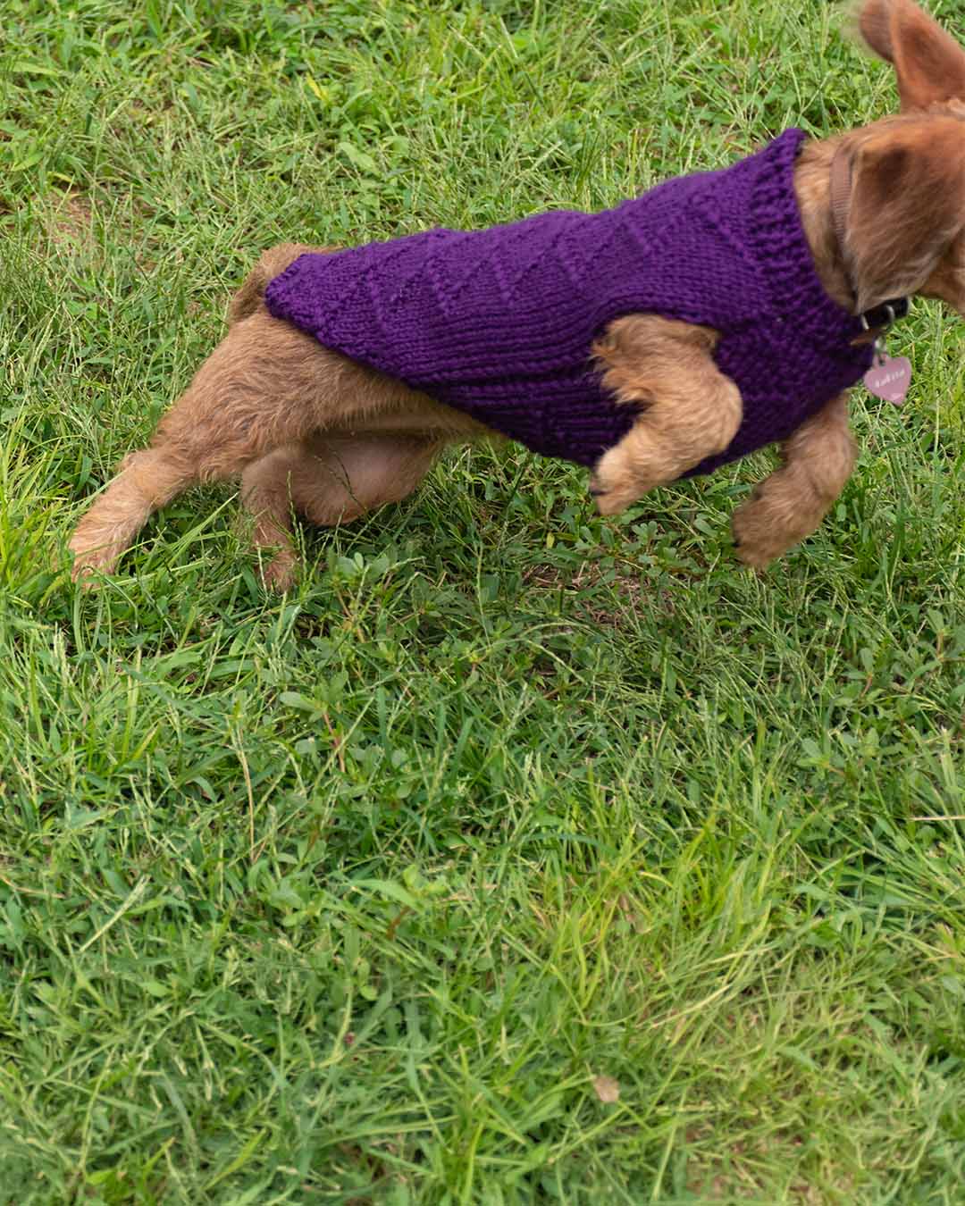 ZIPPY - geometric dog cardigan