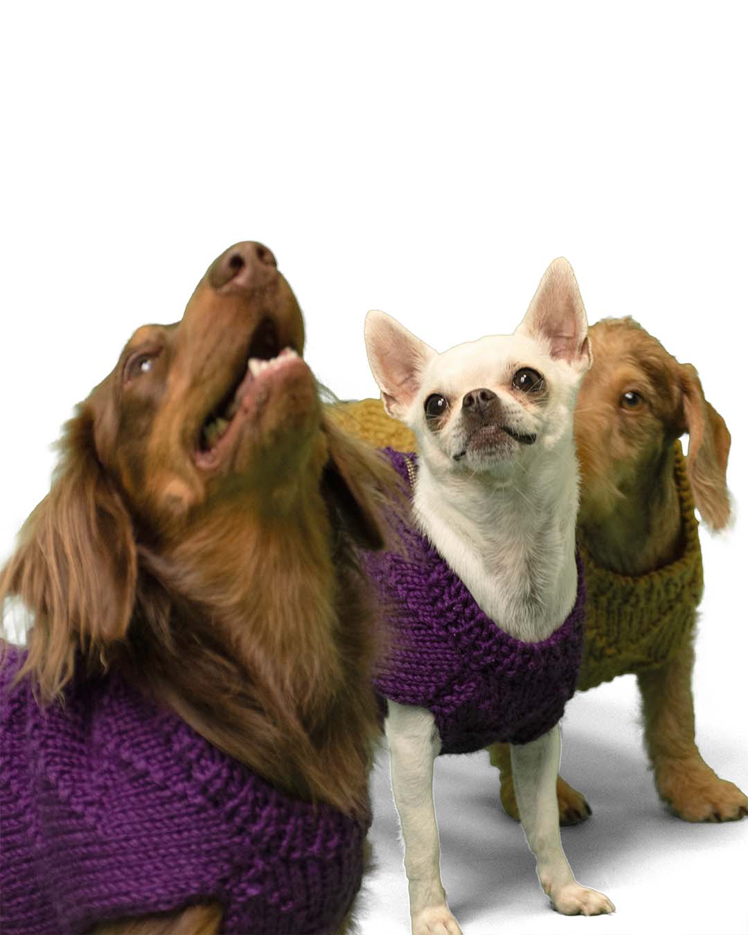 ZIPPY - geometric dog cardigan
