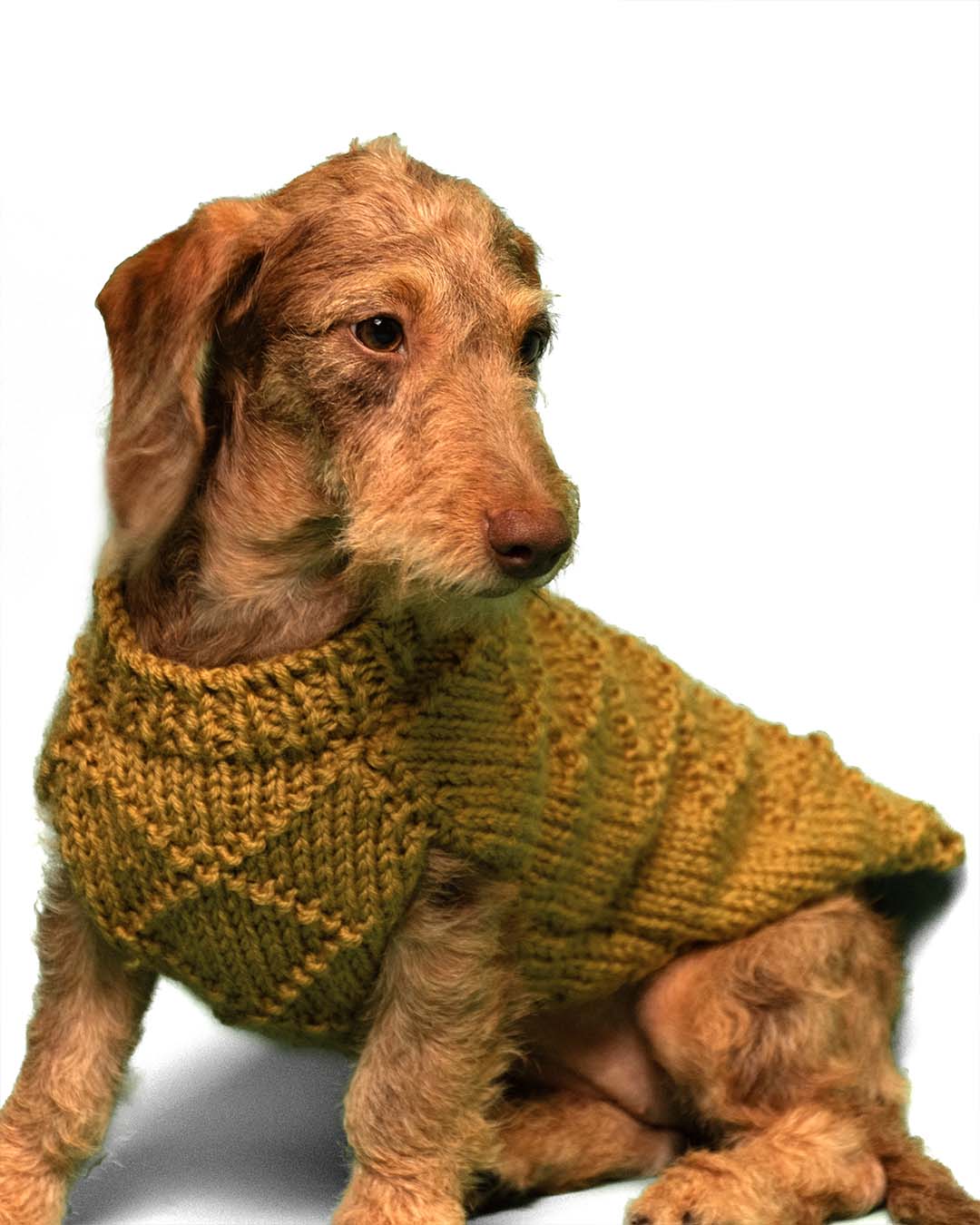 ZIPPY - geometric dog cardigan
