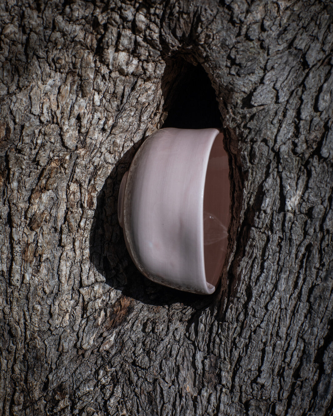 Piuma Matcha & Tea Cup