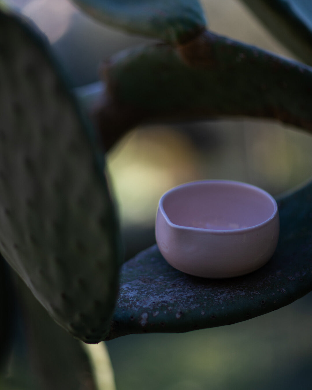 Piuma Chawan Matcha