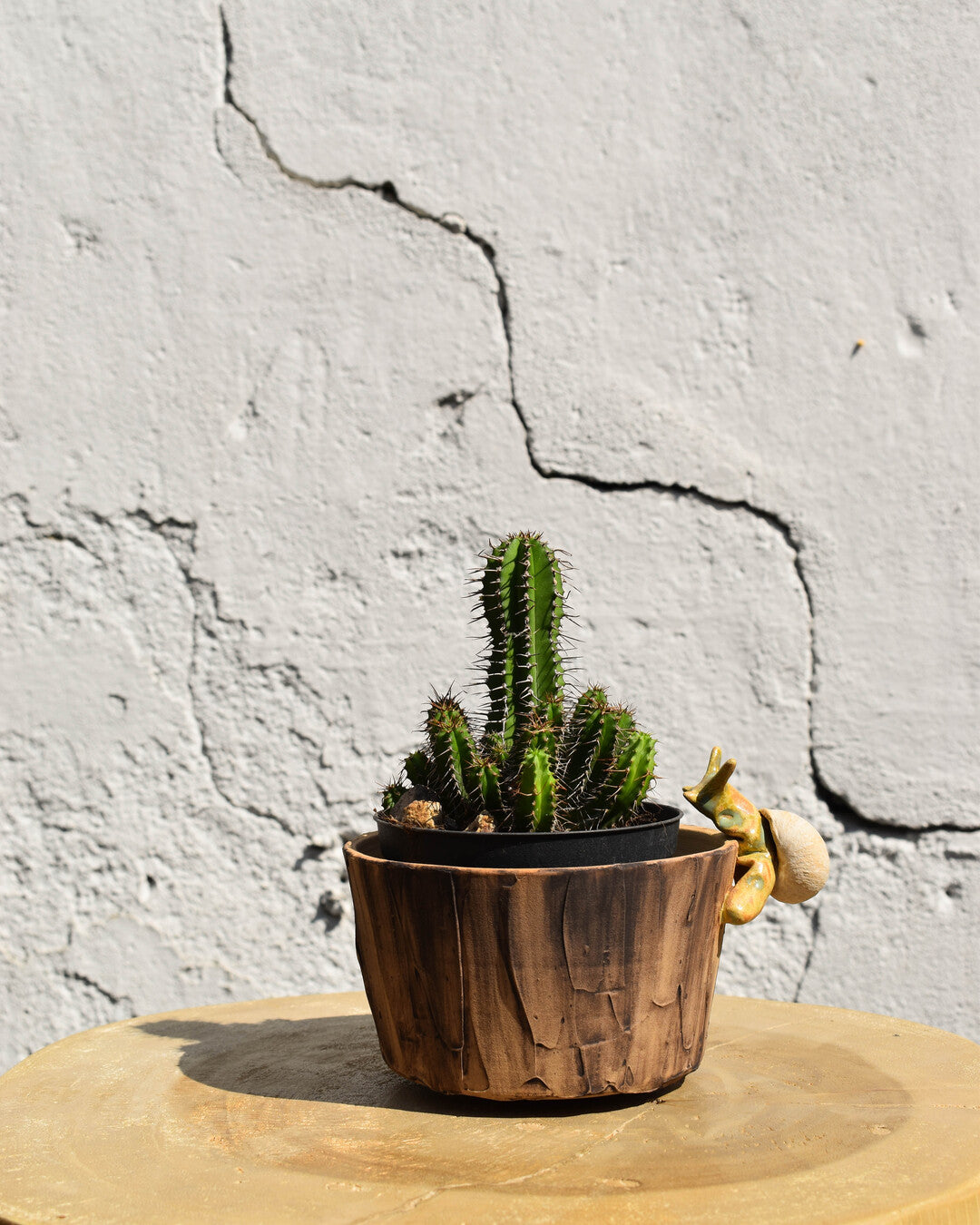 Snail Planter