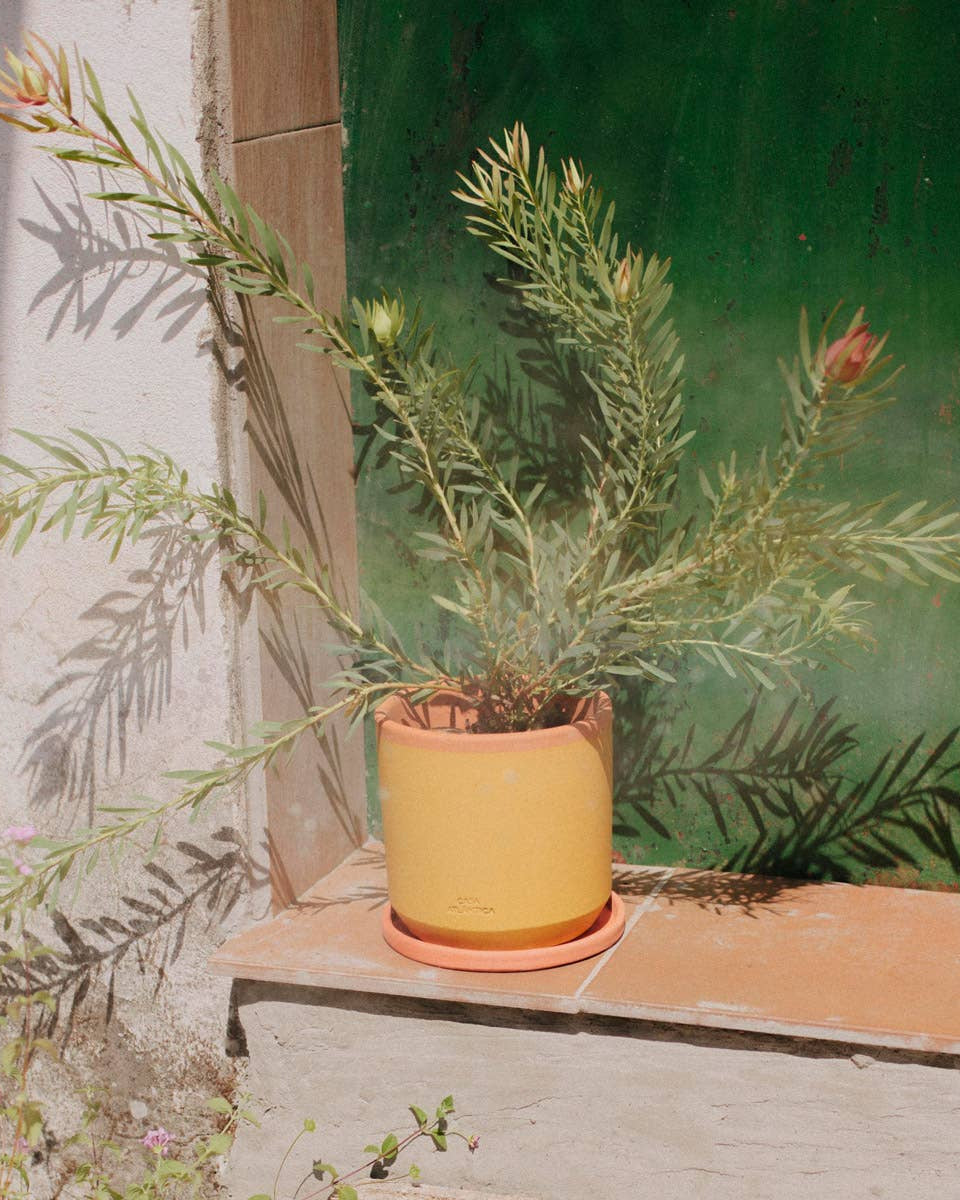 Painted clay pot with saucer – Medium