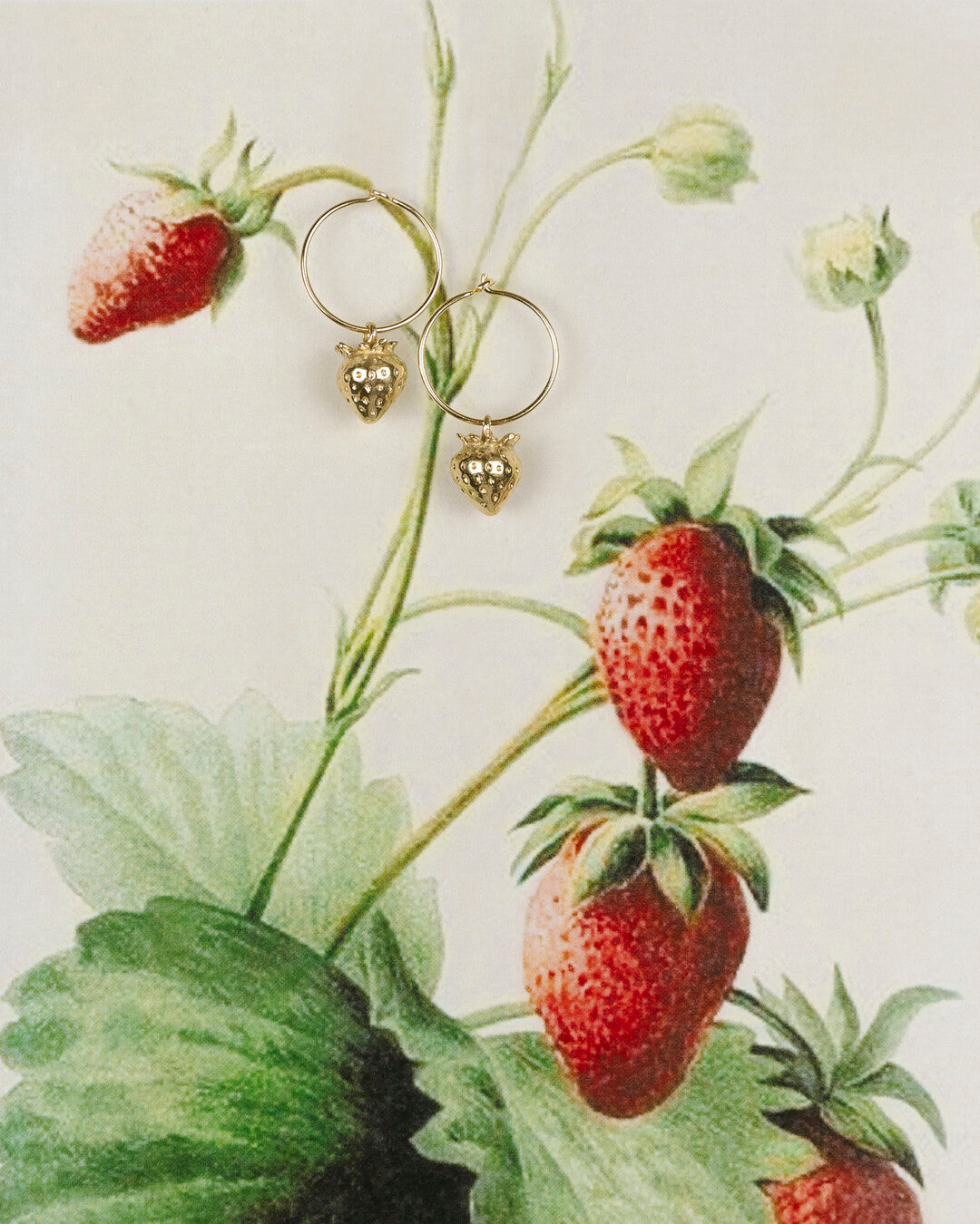 Strawberry earrings