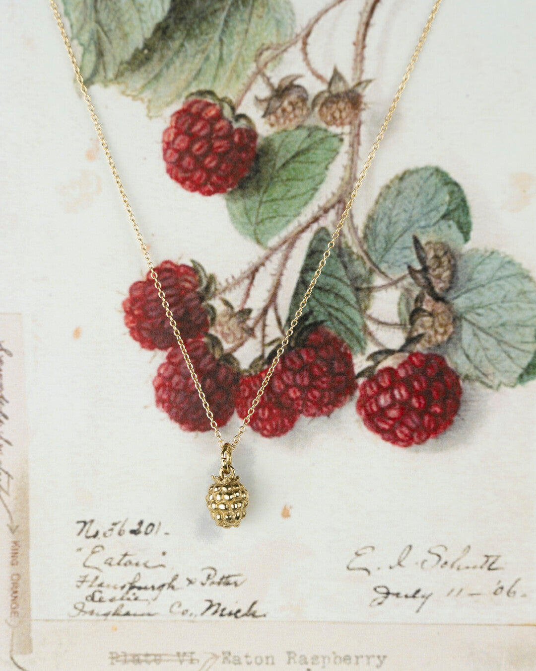 Raspberry necklace