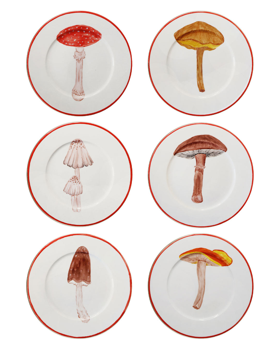 Mushrooms Mix - Set of 6